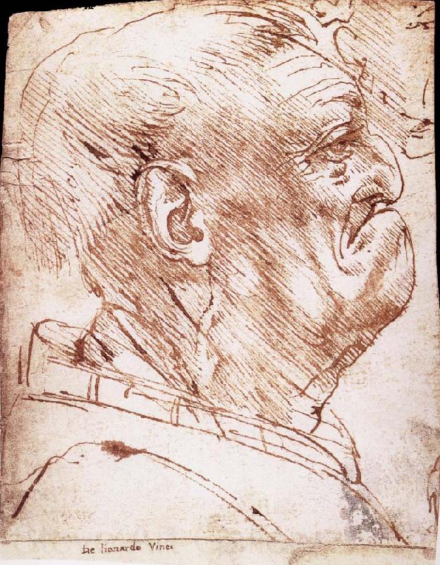 LEONARDO da Vinci Grotesque profile of a man Norge oil painting art